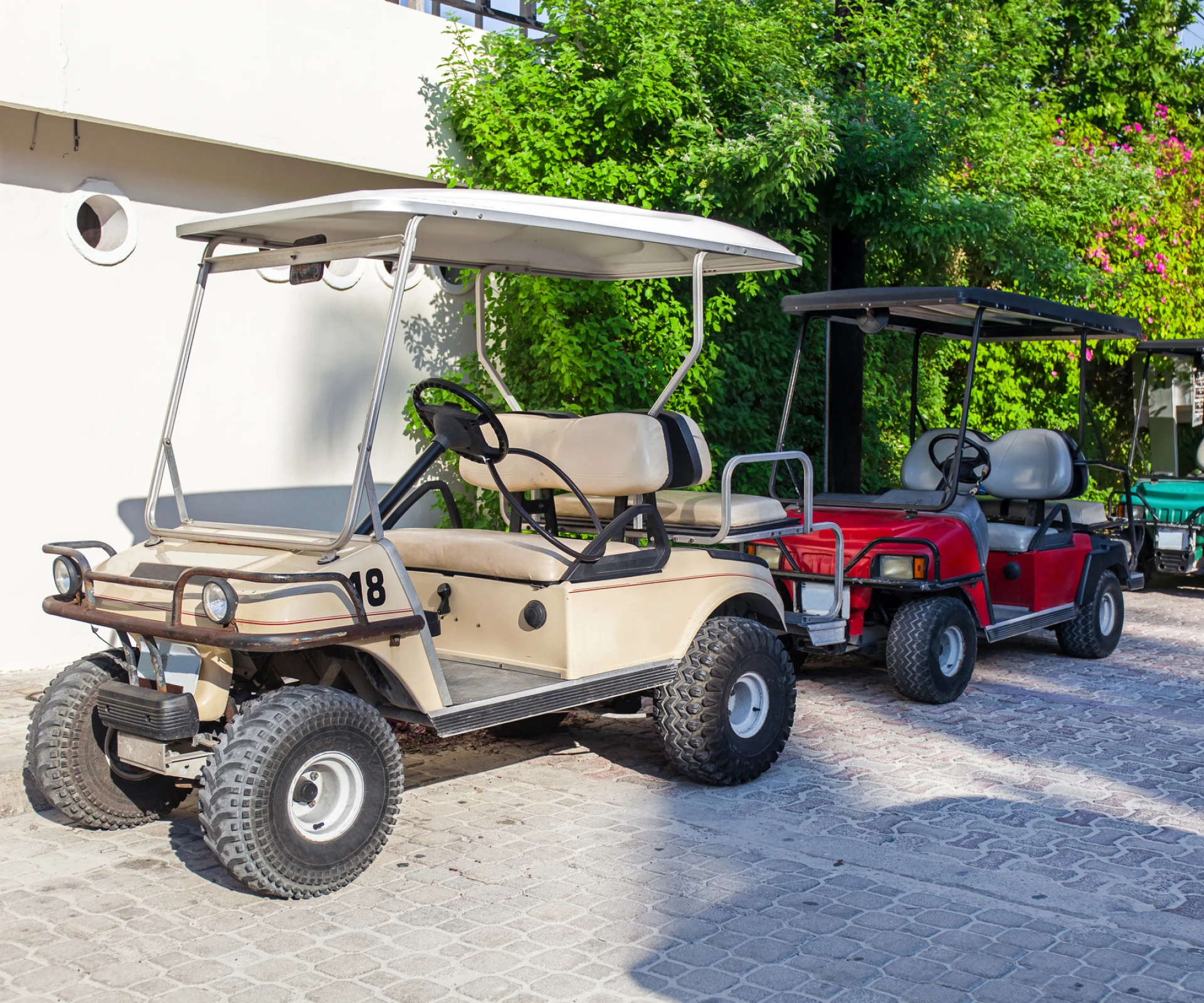 Two golf carts near green bushes